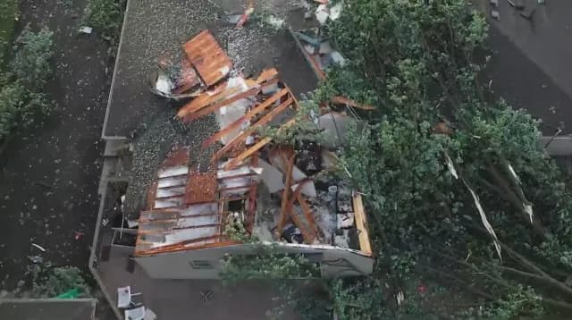 Aerial view of a fallen tree resting on a property